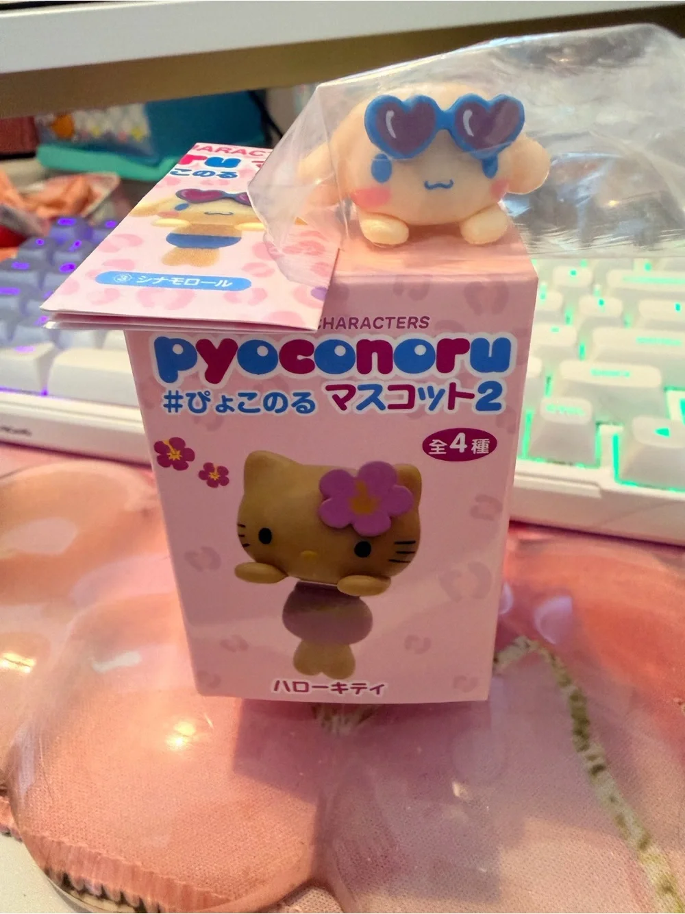 Cinnamoroll Hipper Blind Box